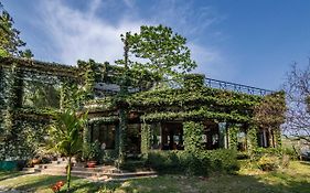 The Riverwood Forest Retreat Dooars - Fully Vaccinated Staff